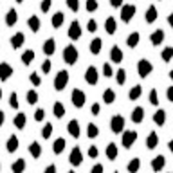 cam0019